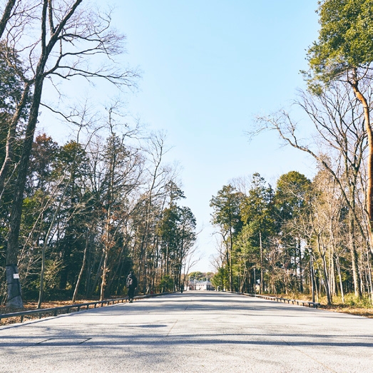 環境に優しい舗装と壁