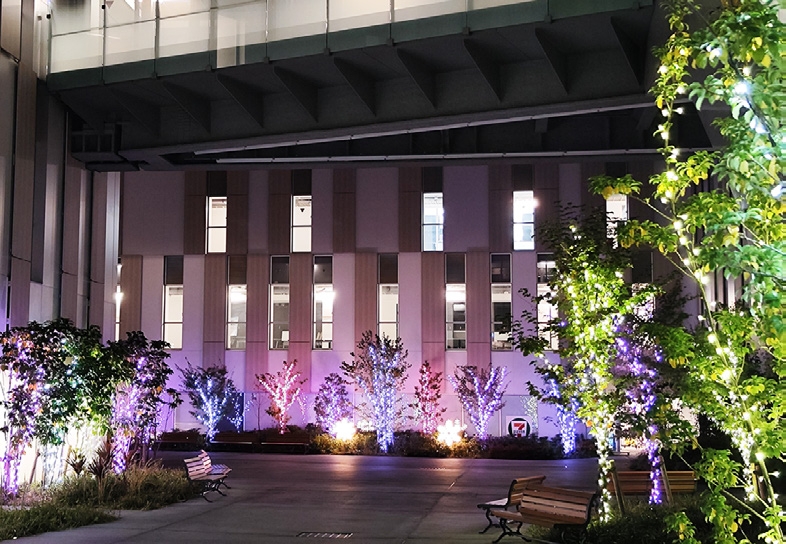 赤羽台キャンパス イルミネーション