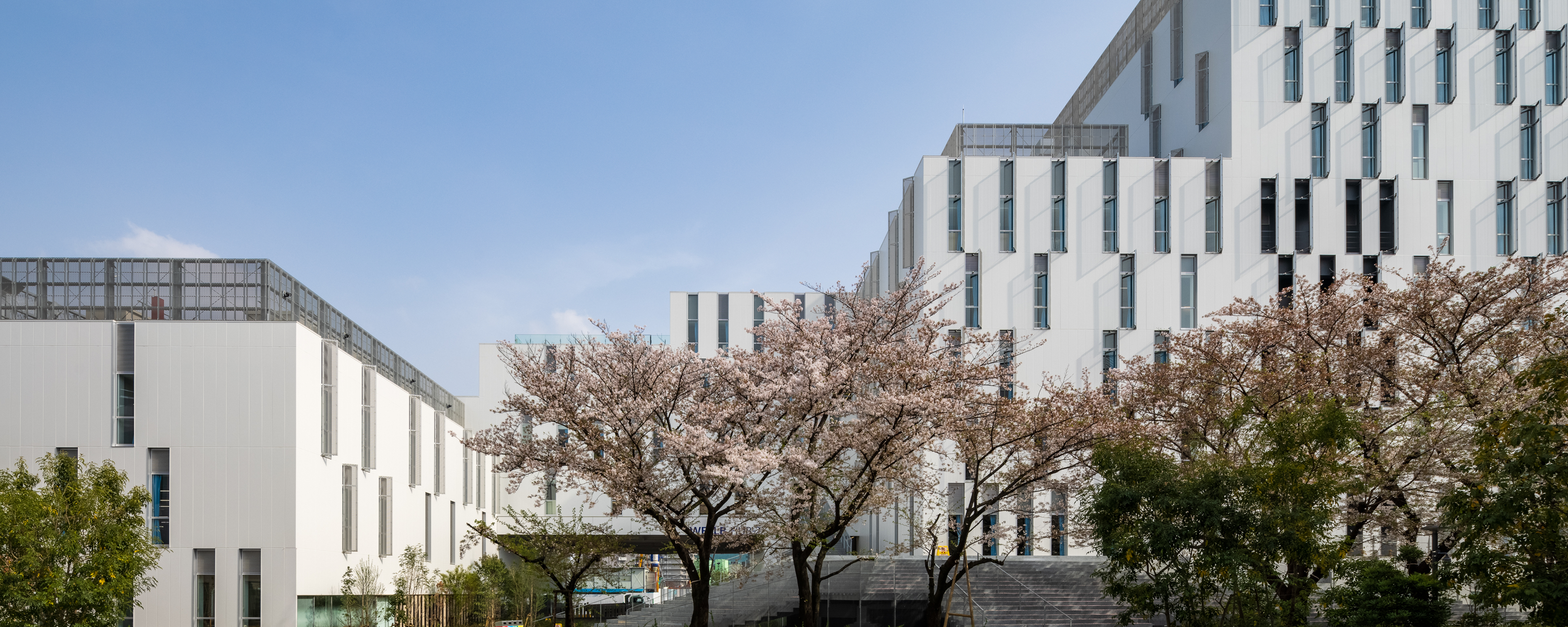 インド哲学仏教学専攻