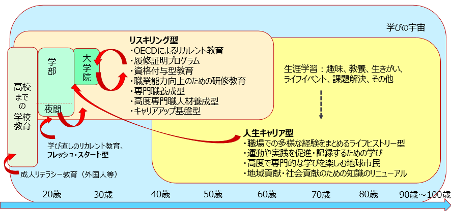 図 大学におけるリカレント教育の現状（全体図試案）