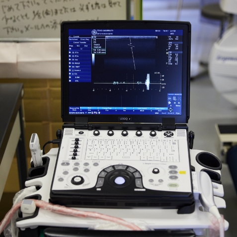 静脈の特性に注目し新たな体内メカニズムの発見を目指す