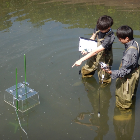 河川におけるGHGs排出の実態を多角的に調査