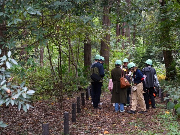 06_Forest