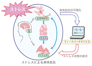 フィードバックシステムイメージ図