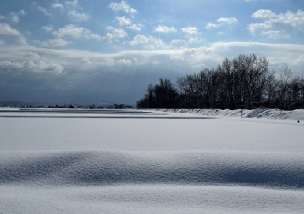 北海道東川町の風景