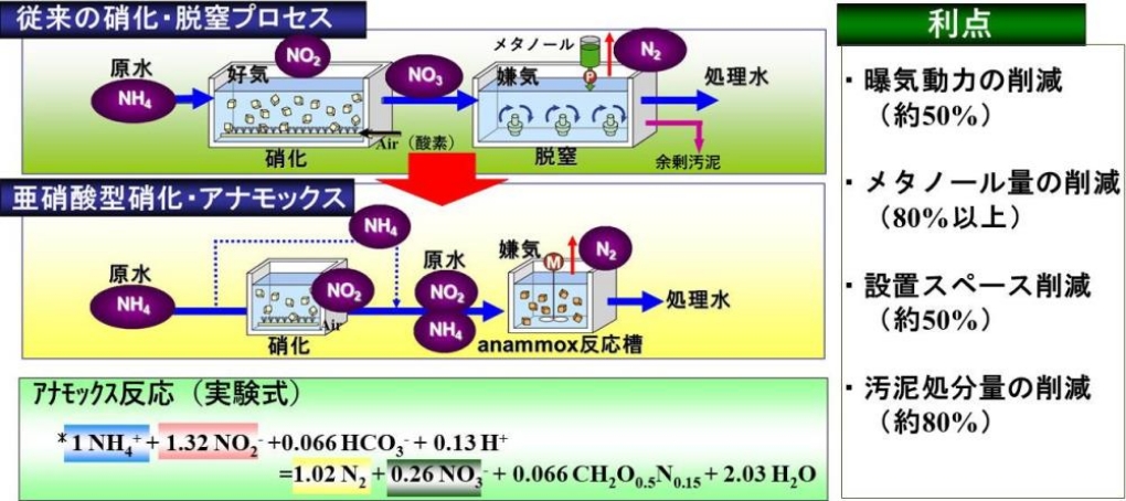 水中の窒素化合物はどのようにすれば除去できるのでしょうか。