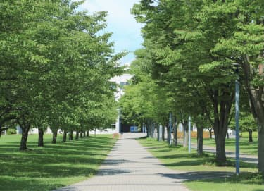 板倉キャンパス風景：並木道