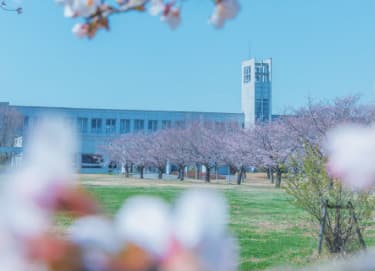 板倉キャンパス風景：桜の向こうに1号館を臨む