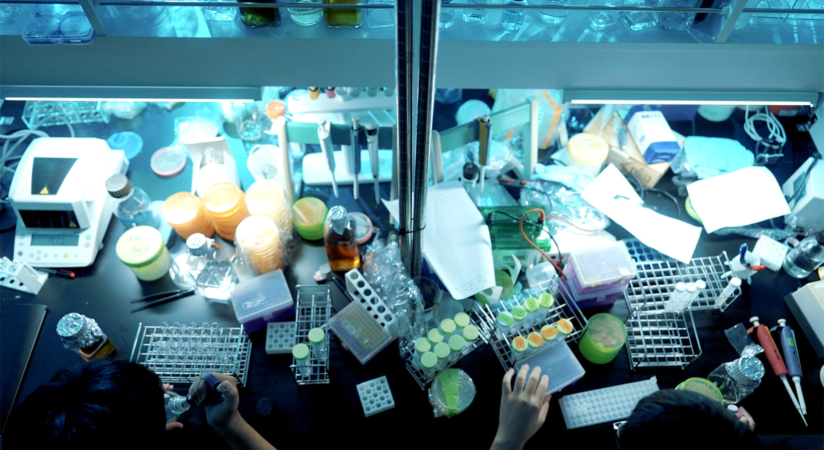 写真：実験風景