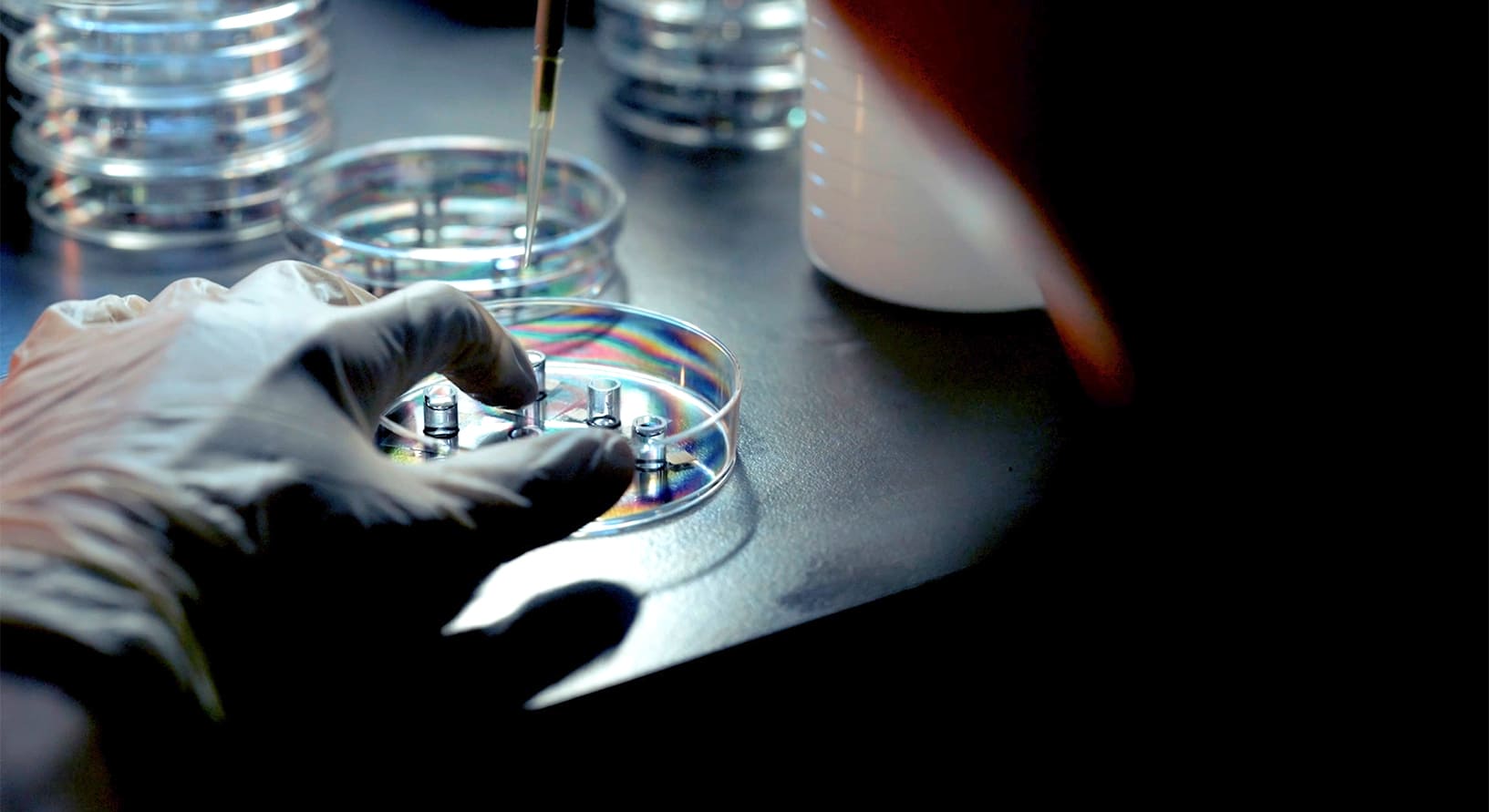 写真：実験風景