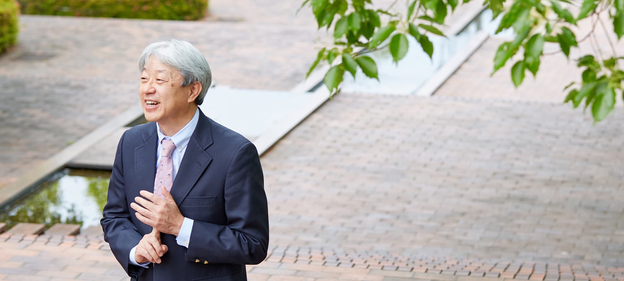 写真：