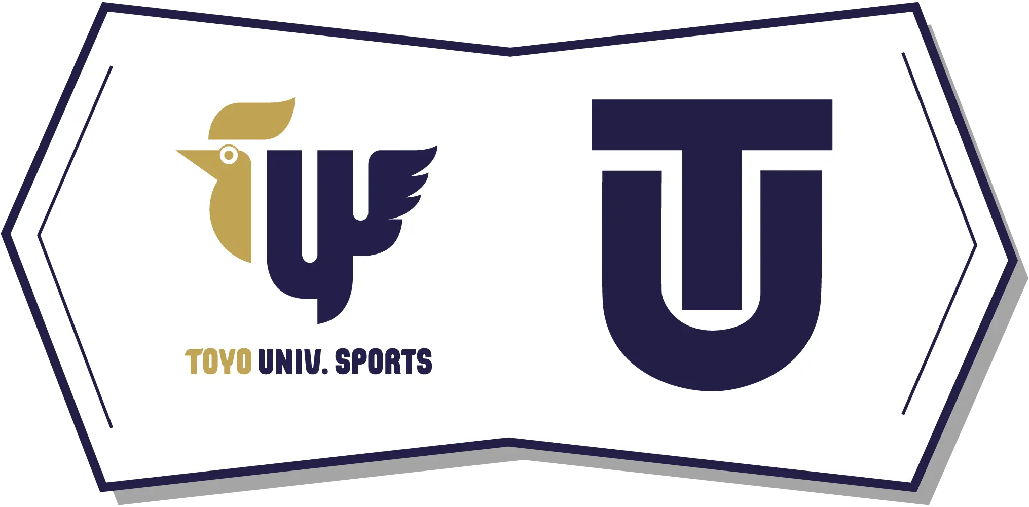 TOYO UNIVERSITY SPORTS