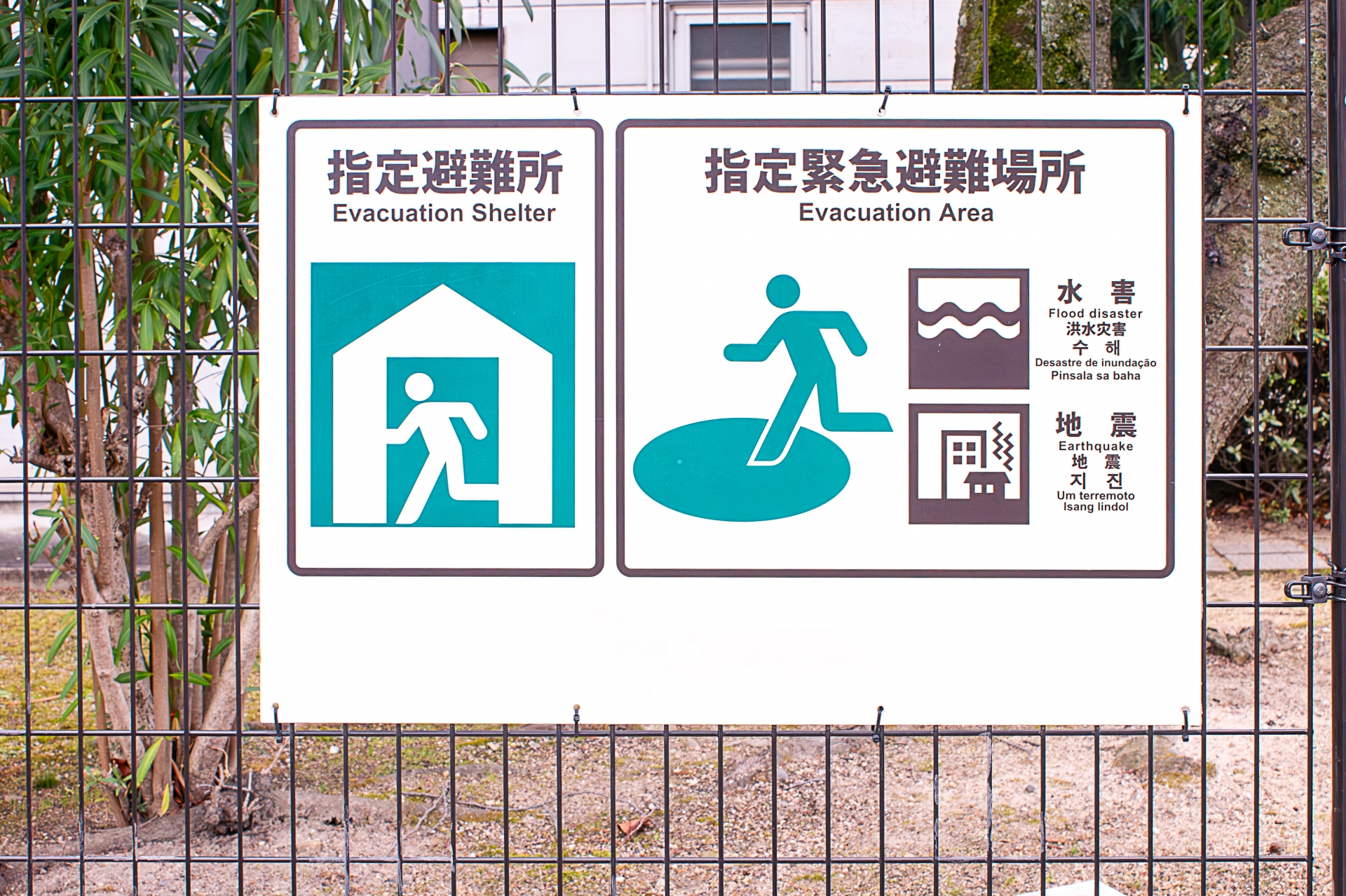避難した先にある課題