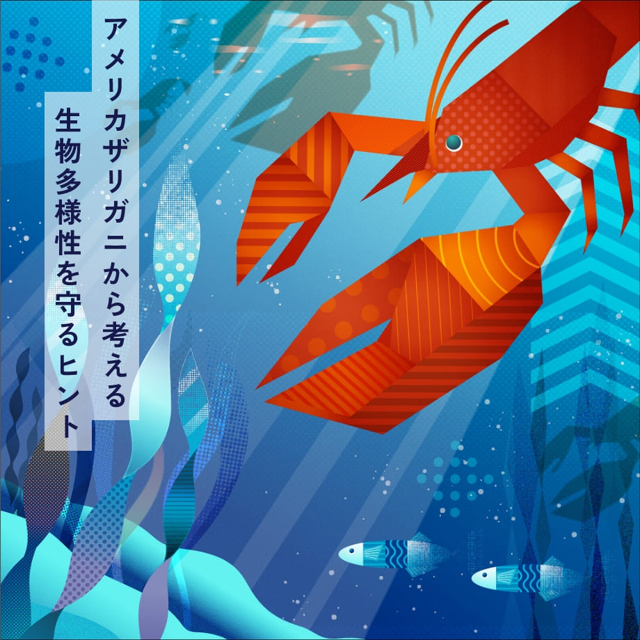 （発行年度が新しいため新課程の記載なし）新課程　ニューグローバル生物基礎＋生物 31ljmnLunXL._AC_UF350,