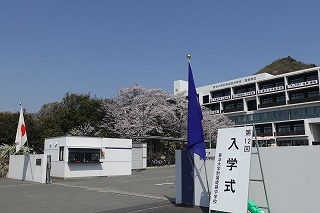 入学式校門の様子