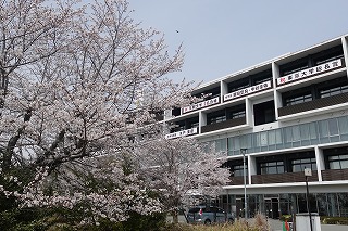 DSC00050
