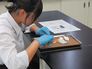 実習の様子②