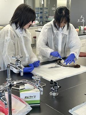 朝霞キャンパスの様子②
