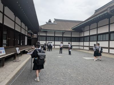 PXL_20260605_033246387