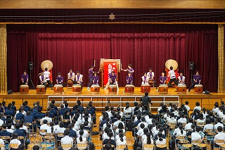 TOYO_006