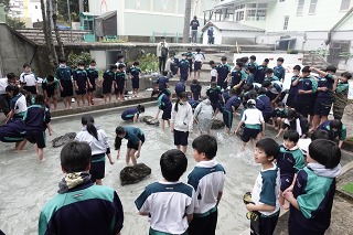 sakana1