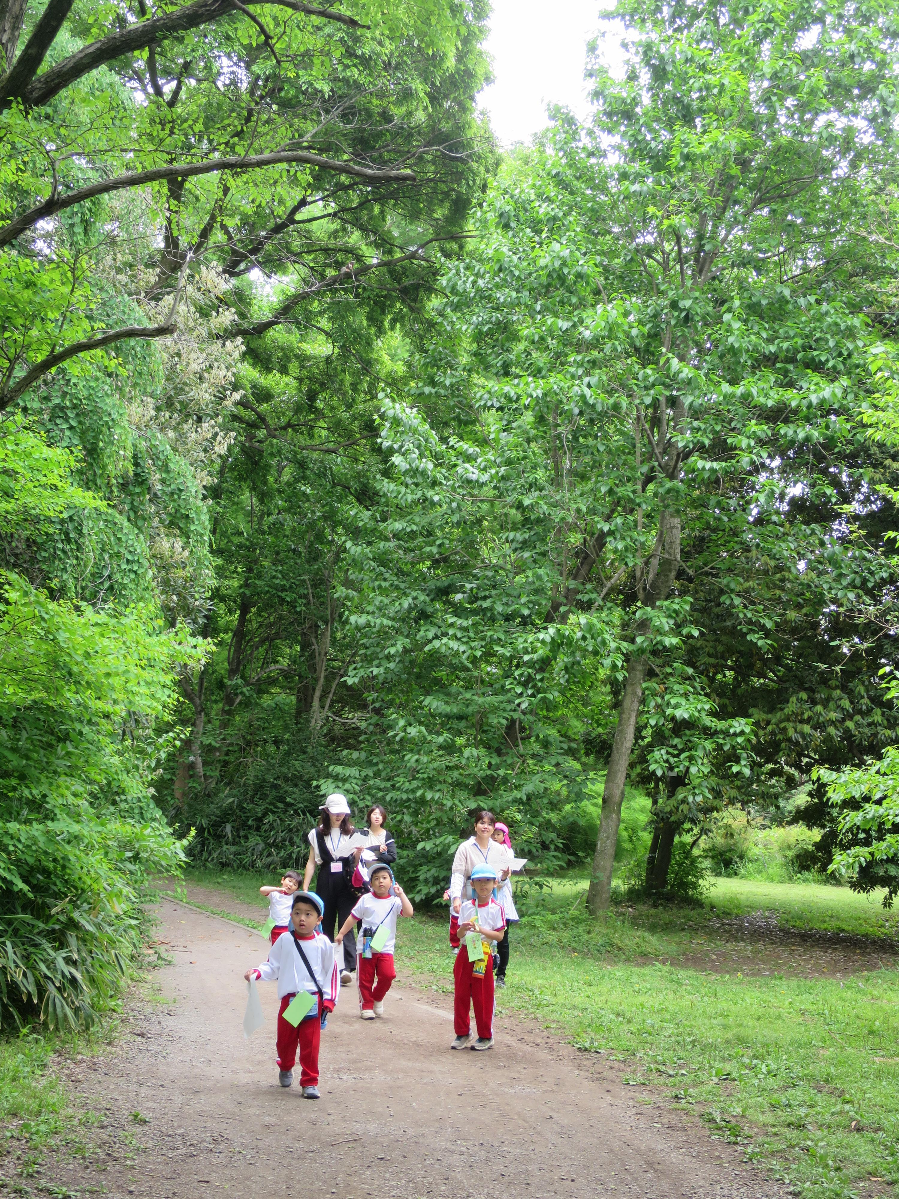 20250509小石川植物園遠足3