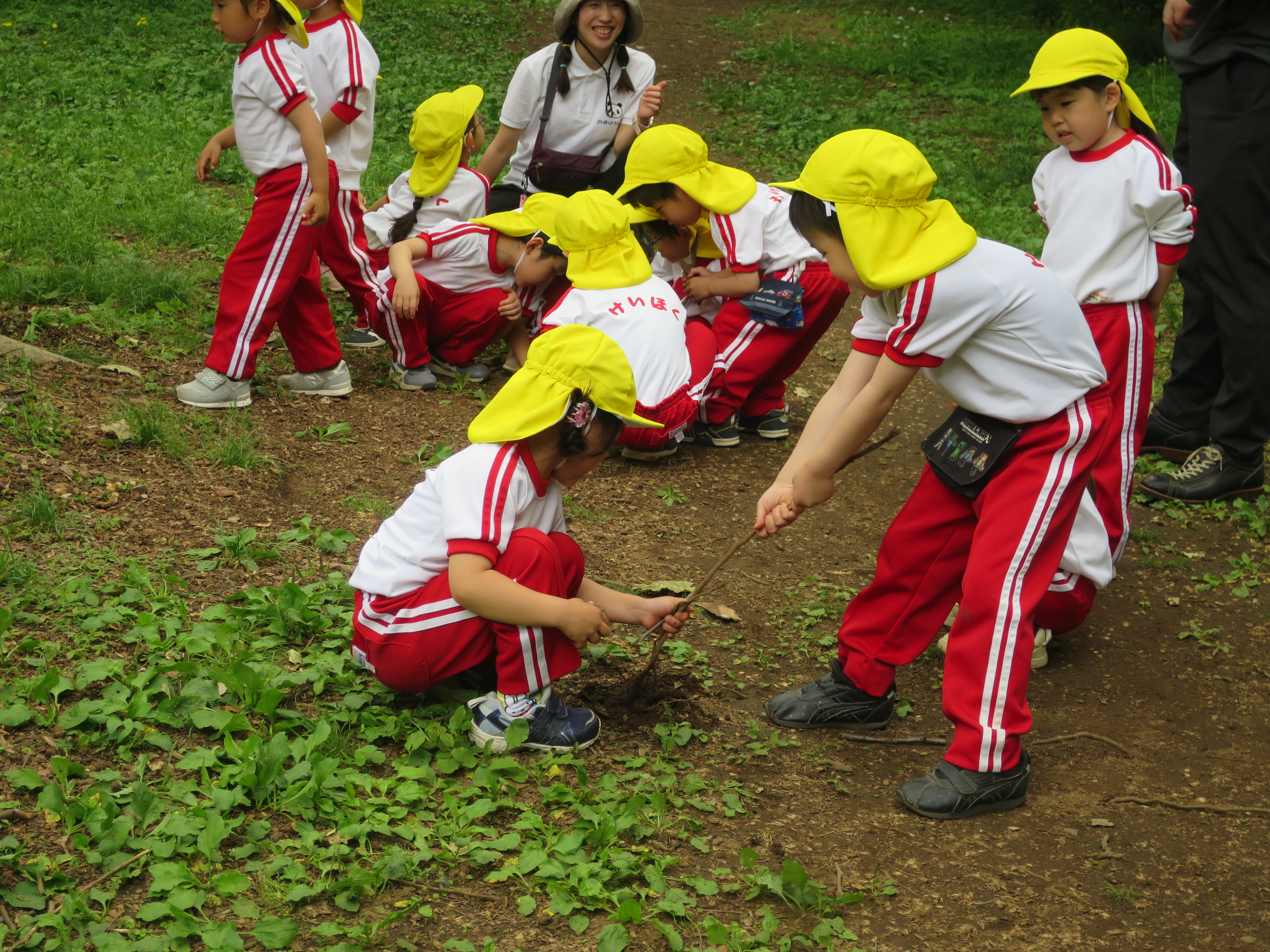 20250509小石川植物園遠足2