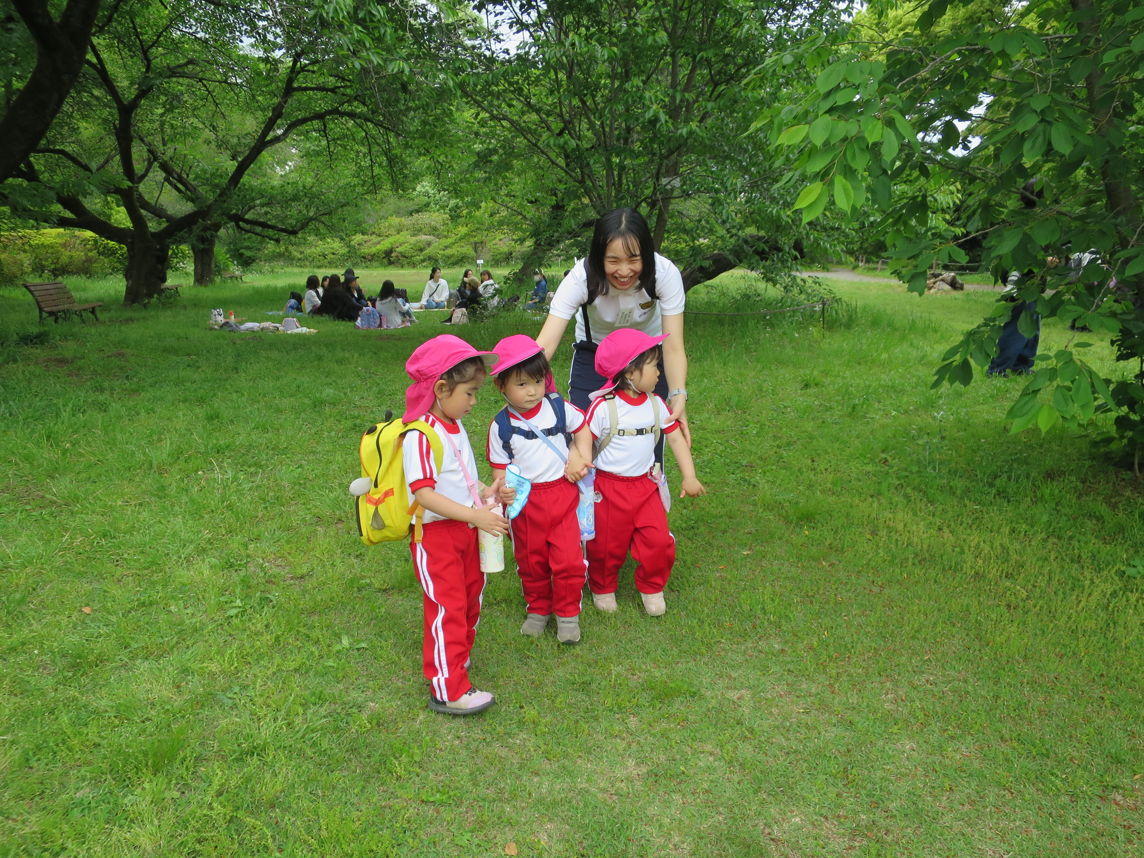 20250509小石川植物園遠足4