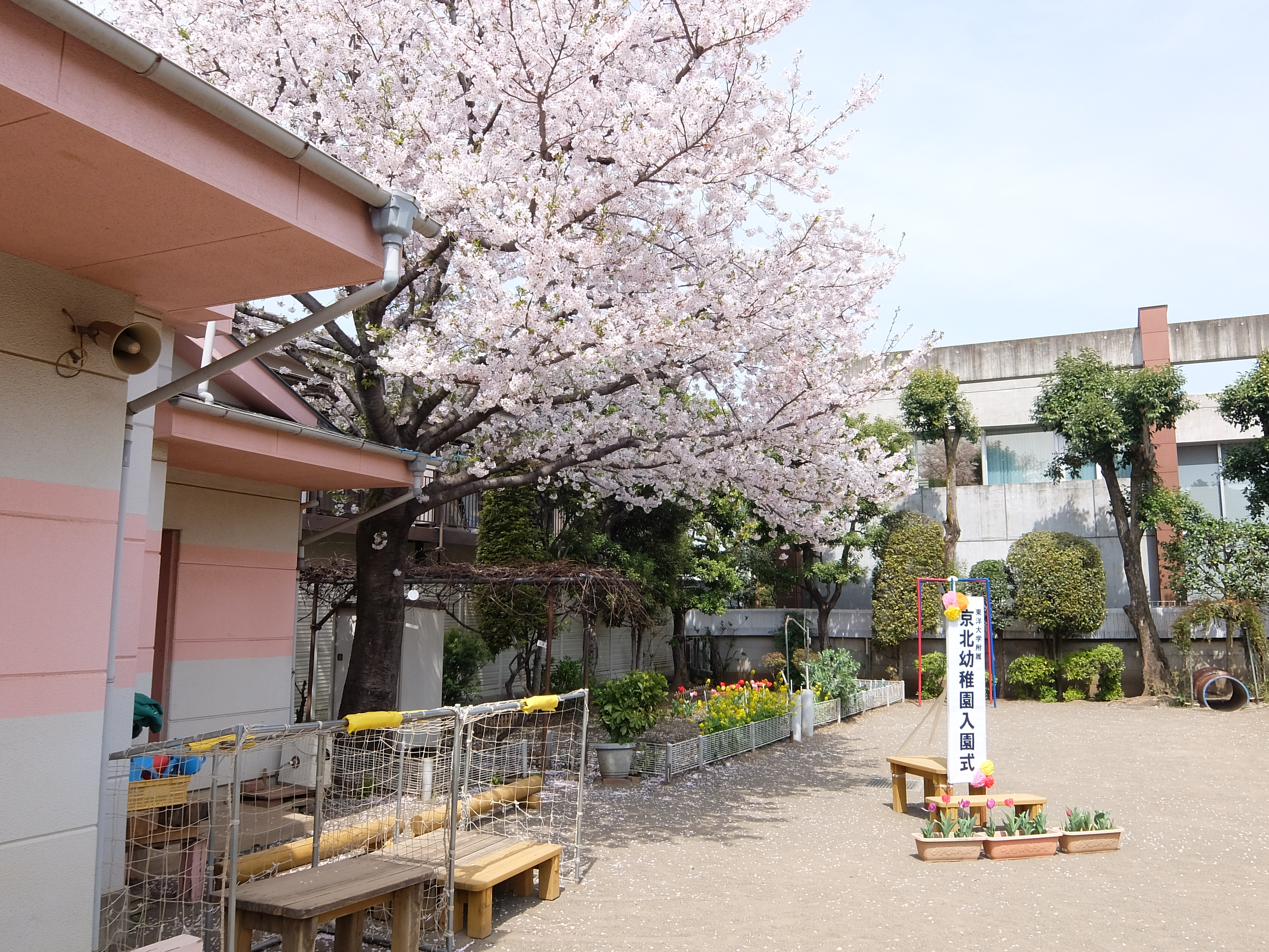 20250408入園式_04