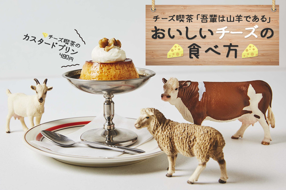 チーズ仙人直伝レシピ チーズ喫茶 店主がおすすめする おいしいチーズの食べ方 Link Toyo 東洋大学