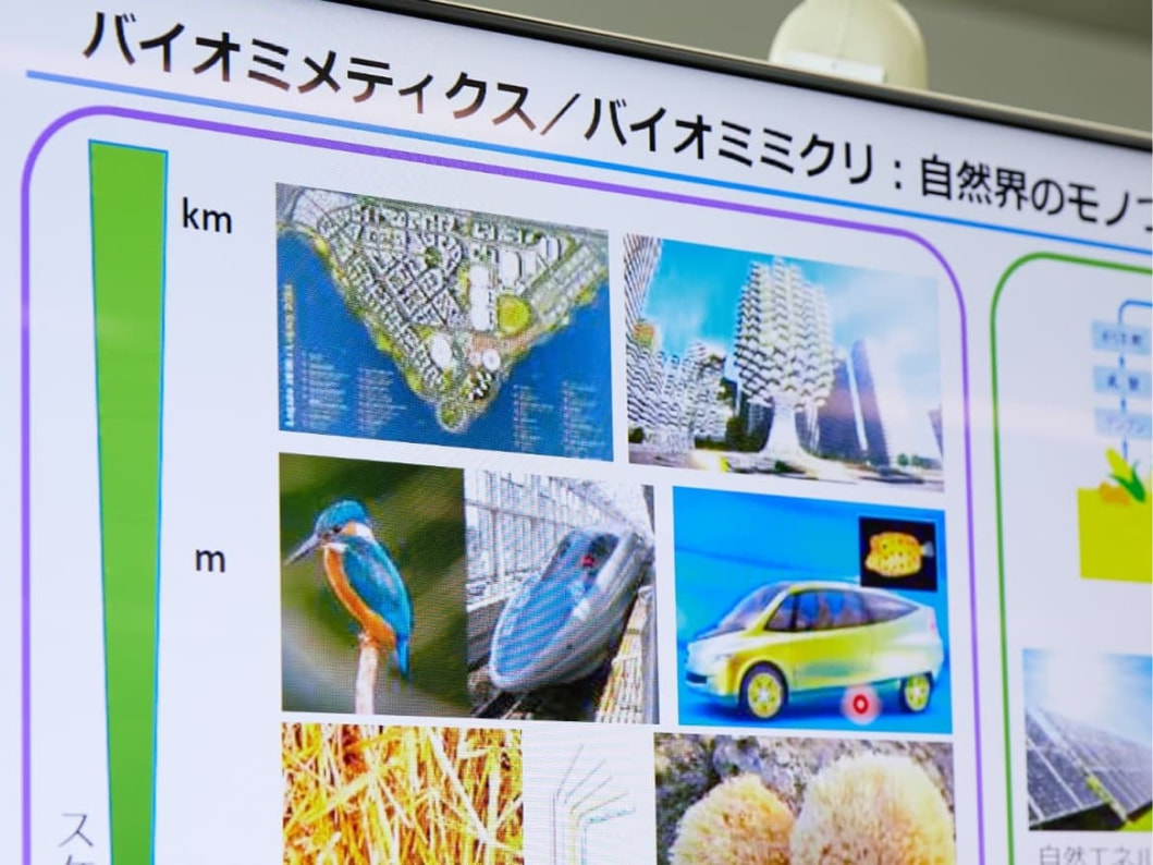 さまざまなモノに活用されているバイオミメティクスの技術