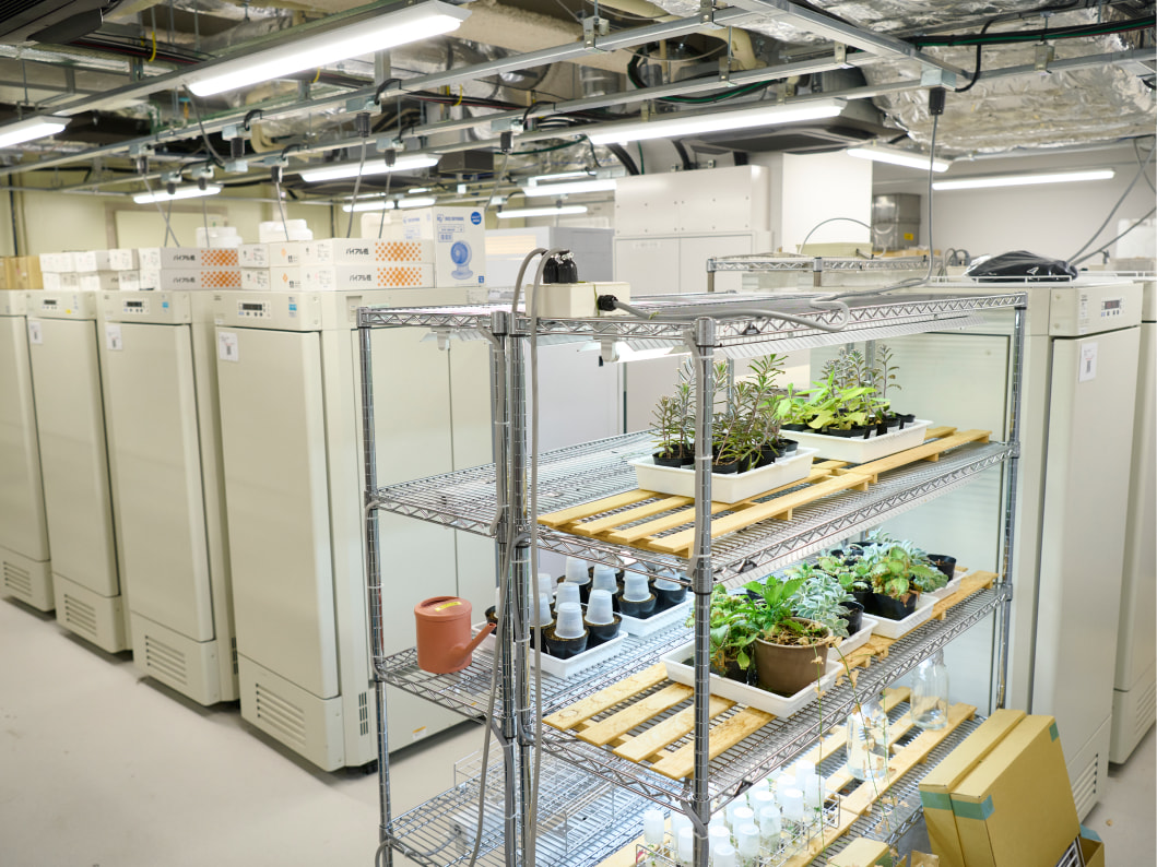 朝霞キャンパスに設置されているさまざまな研究機器