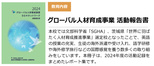 2024グローバル報告書